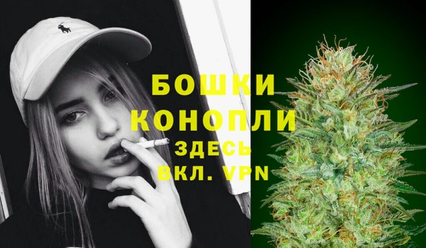 гидропоника Рославль